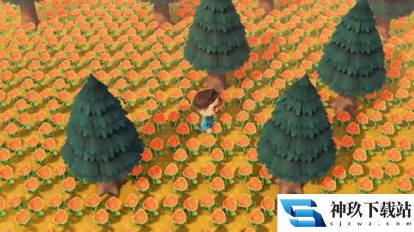 《动森》玩家用橙色玫瑰铺满全岛，网友：你真的肝